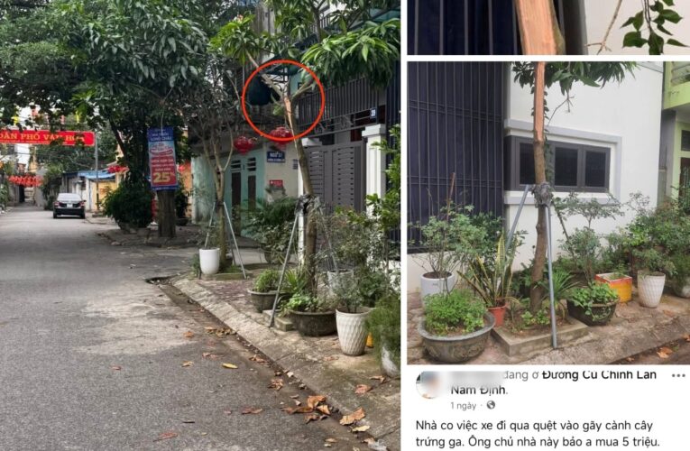 [VIDEO] Đi xe quệt vào cây trứng gà trước cửa, chủ nhà ra yêu cầu Tài xế đền 2 triệu vì làm gãy