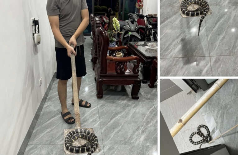 Vid:eo vụ việc