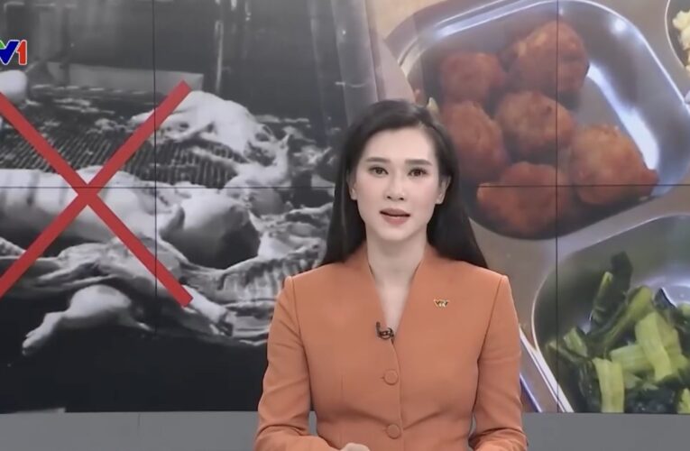 Hàng trăm trường tiểu học, mầm non ở Hà Nội liên quan đến đường dây 300 tấn thịt lợn bệnh
