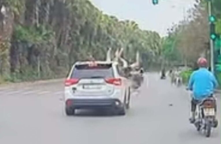Cam hành trình ghi lại vụ việc
