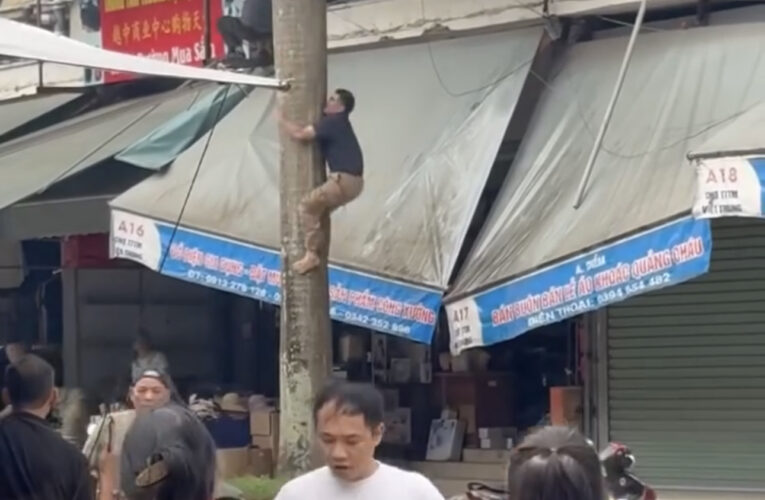 Video vụ việc