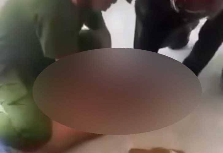 Video vụ việc